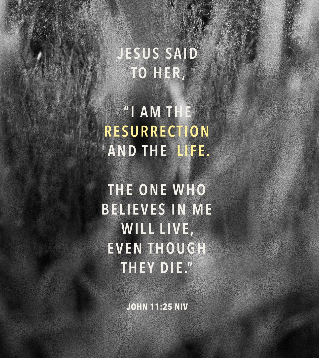 John 11:25 NIV
